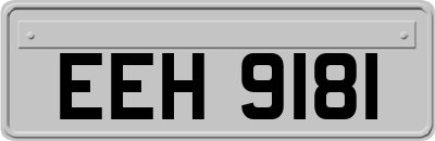 EEH9181