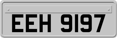 EEH9197