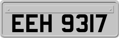 EEH9317