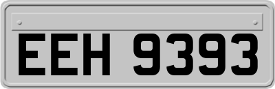 EEH9393