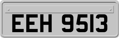 EEH9513