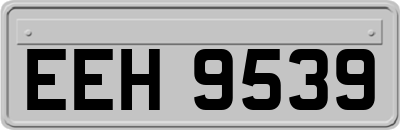 EEH9539