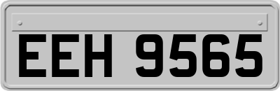 EEH9565