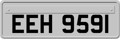 EEH9591