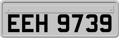 EEH9739
