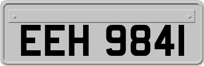 EEH9841