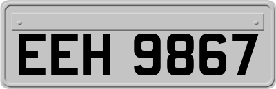 EEH9867