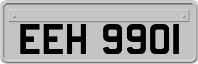 EEH9901