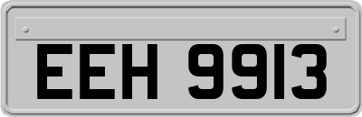 EEH9913