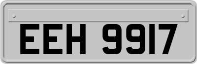 EEH9917