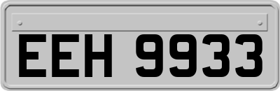 EEH9933