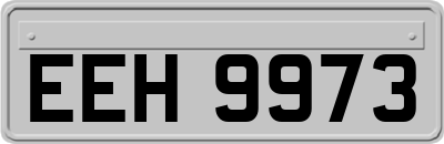 EEH9973