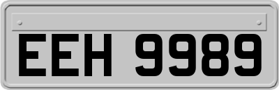 EEH9989
