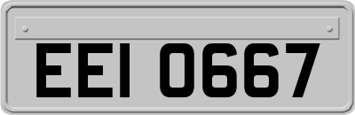EEI0667