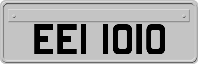 EEI1010