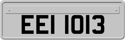 EEI1013