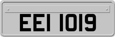 EEI1019