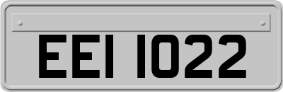 EEI1022