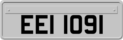 EEI1091