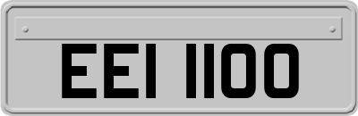 EEI1100