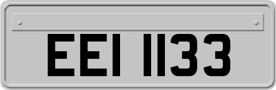 EEI1133