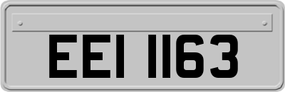 EEI1163