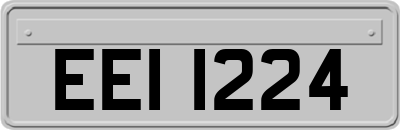 EEI1224