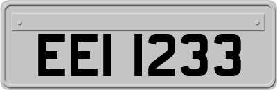 EEI1233