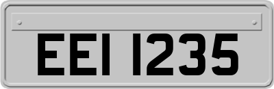 EEI1235
