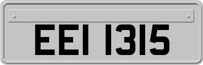 EEI1315