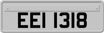 EEI1318