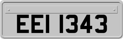 EEI1343