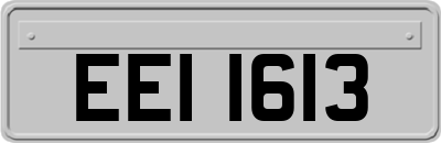 EEI1613