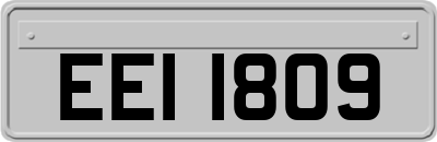 EEI1809