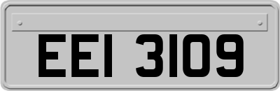 EEI3109