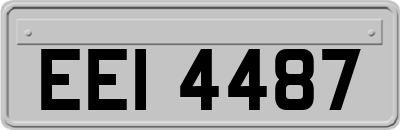 EEI4487