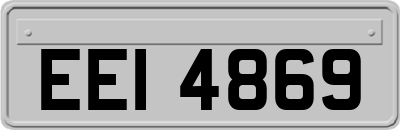 EEI4869