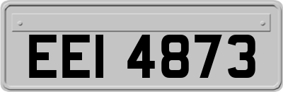 EEI4873