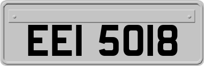 EEI5018