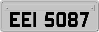 EEI5087