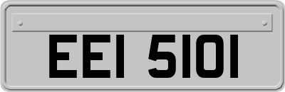 EEI5101