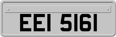 EEI5161