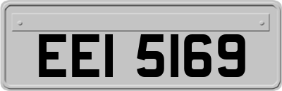 EEI5169