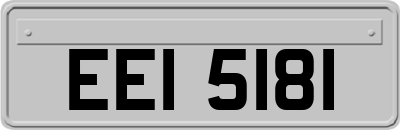 EEI5181