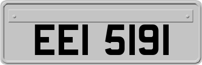 EEI5191