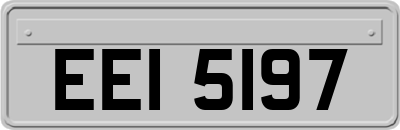 EEI5197
