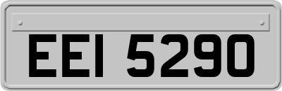 EEI5290