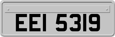 EEI5319