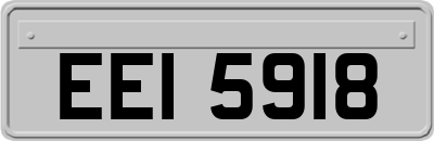 EEI5918