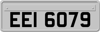 EEI6079